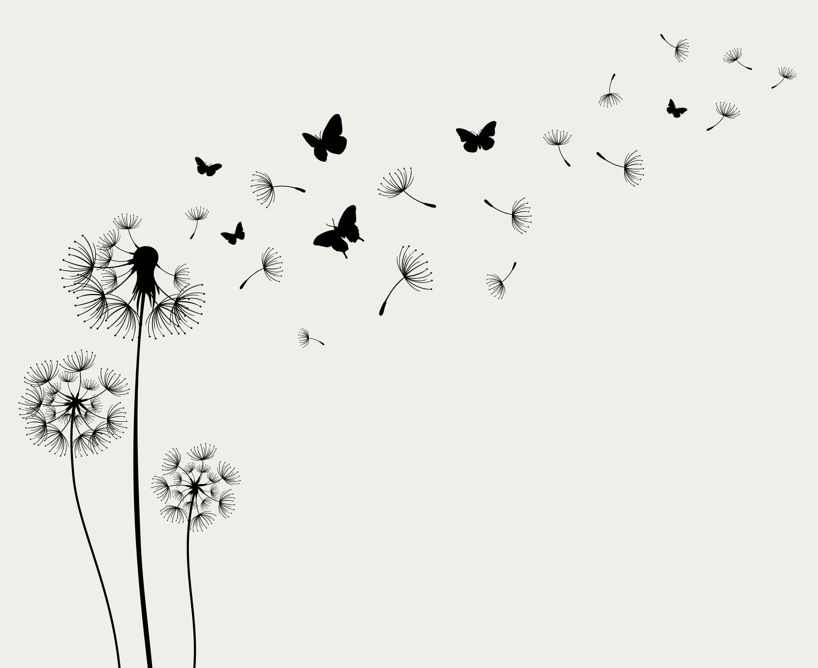 Dandelions and butterflies